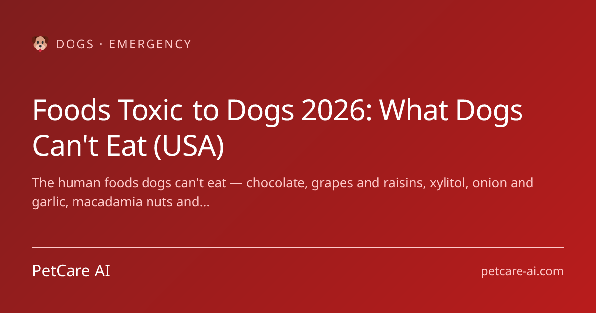 Foods Toxic to Dogs 2026: What Dogs Can't Eat (USA)